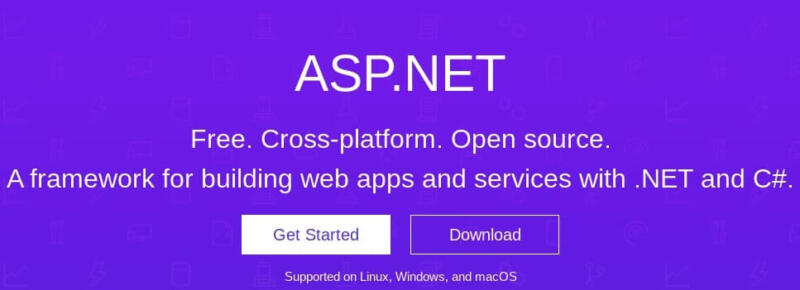 The ASP.NET framework.