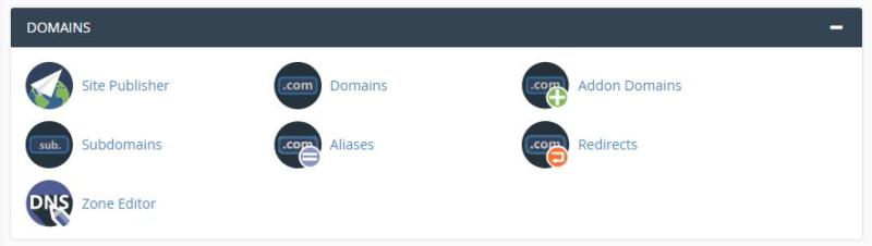 Selecting the Aliases option from within your cPanel.