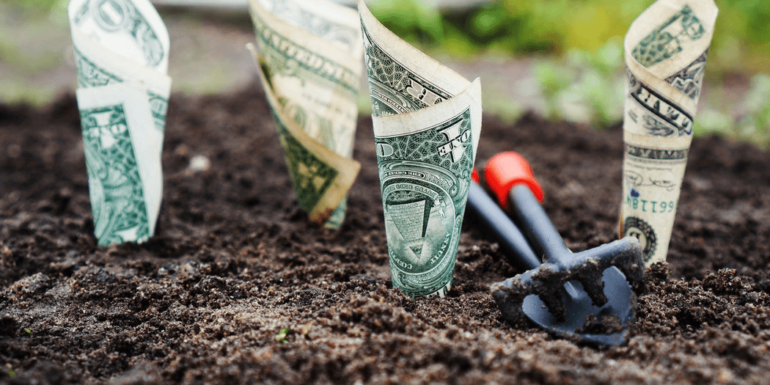 Money planted in dirt.