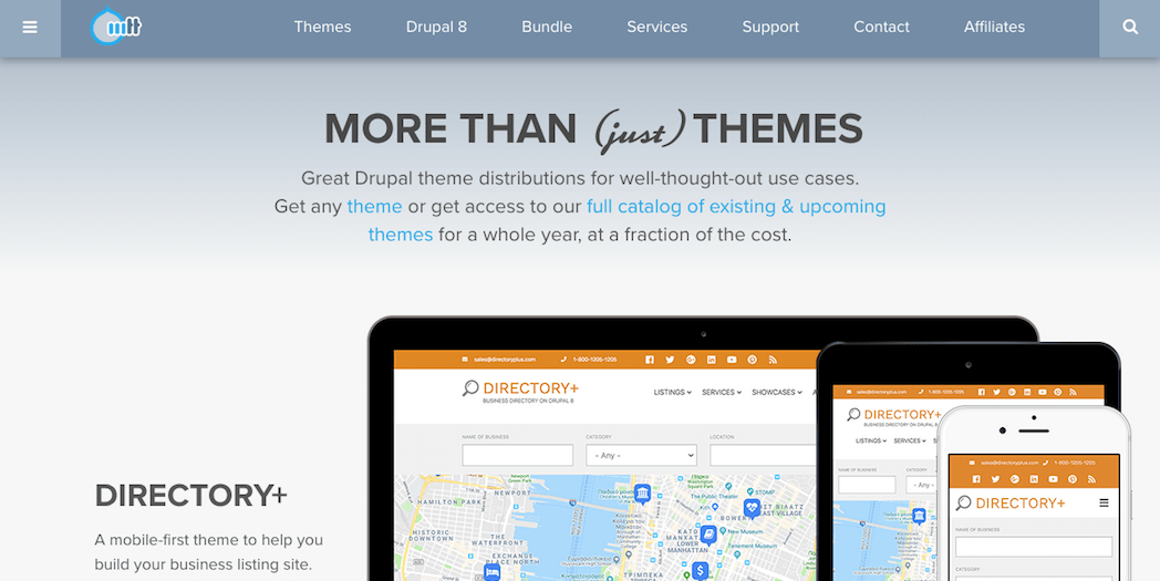 The More Than Themes website.